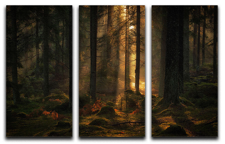 A beautiful 3-panel canvas print featuring a serene forest scene, perfect for home or office decor.