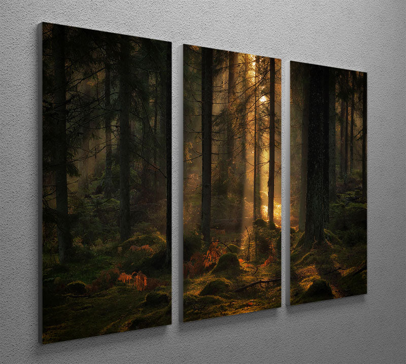 A beautiful 3-panel canvas print featuring a serene forest scene, perfect for home or office decor.