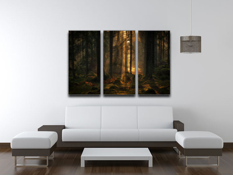 A beautiful 3-panel canvas print featuring a serene forest scene, perfect for home or office decor.