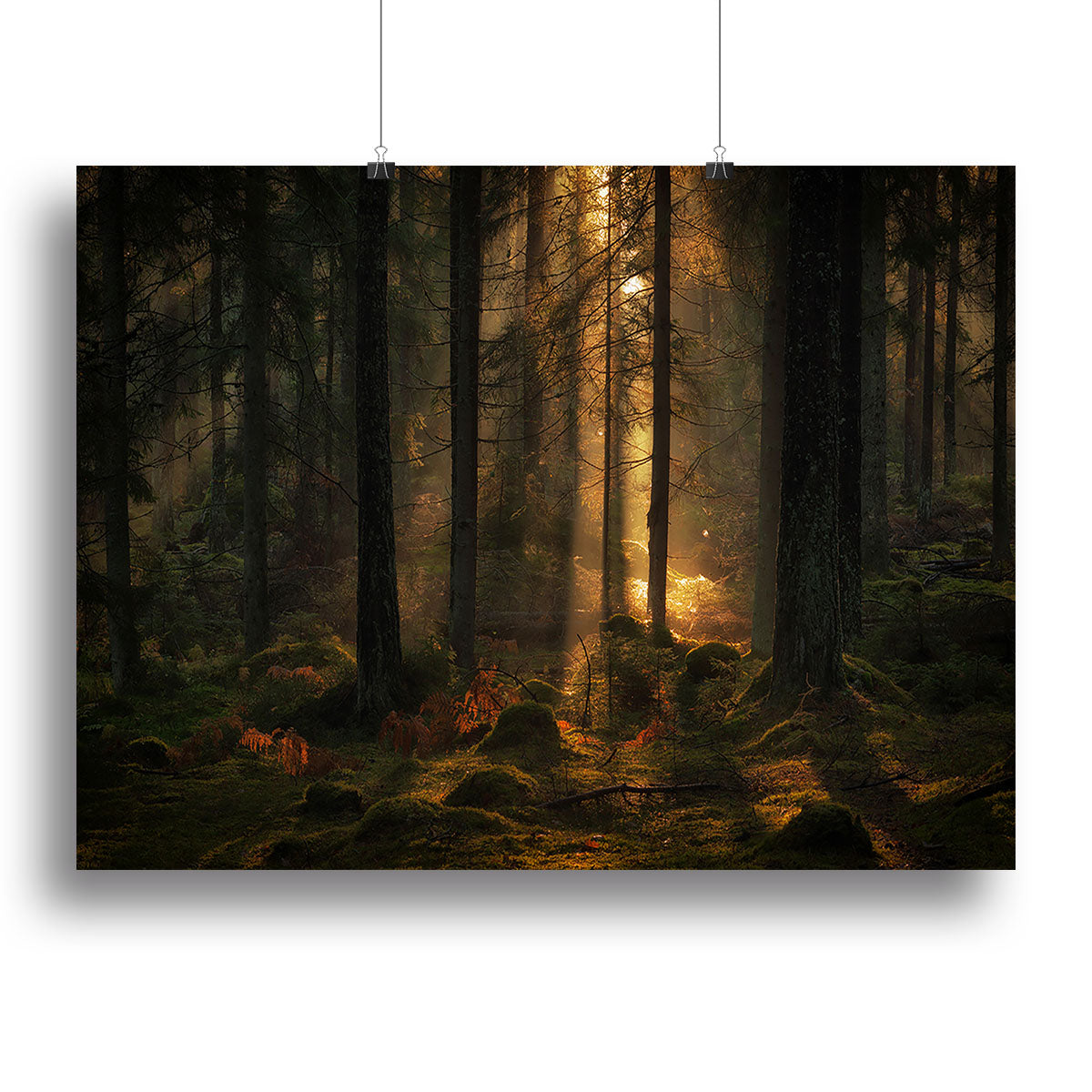 A beautiful canvas print titled 'The Light In The Forest', showcasing a serene forest scene with vibrant colors and intricate details.