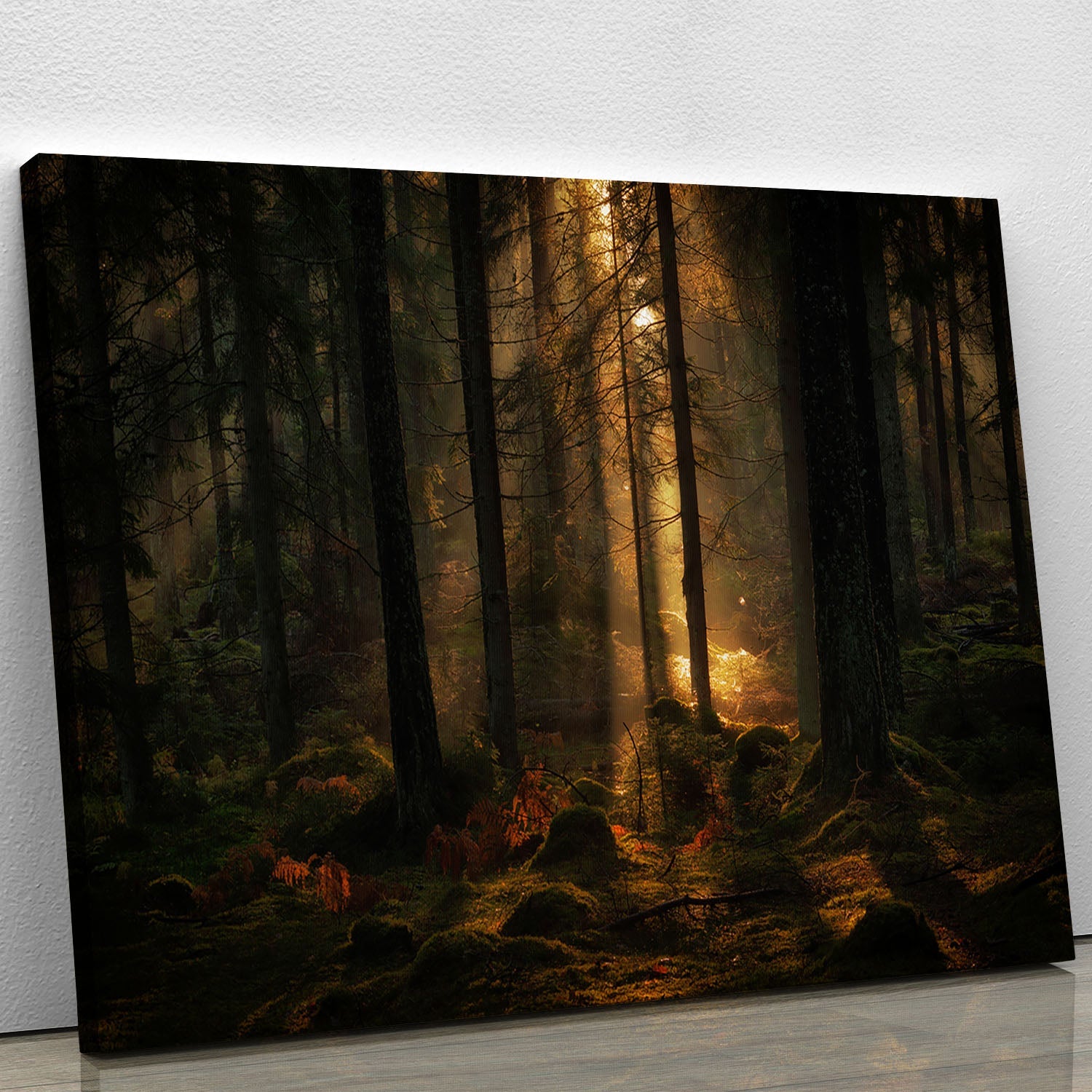A beautiful canvas print titled 'The Light In The Forest', showcasing a serene forest scene with vibrant colors and intricate details.