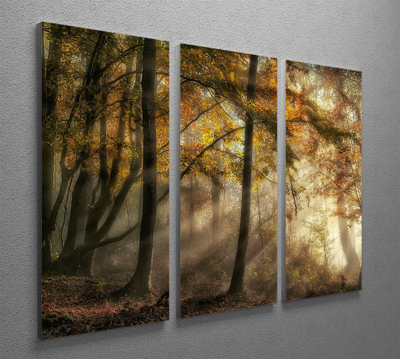 A beautiful 3-panel canvas print depicting a serene forest scene, showcasing vibrant colors and intricate details.