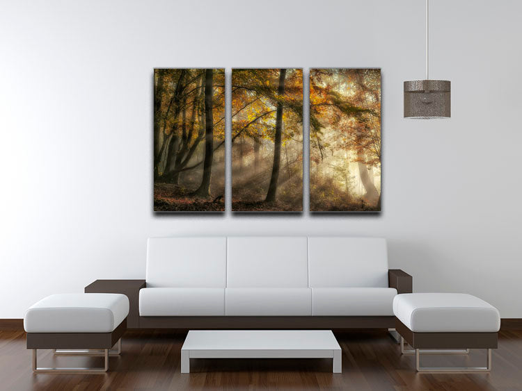 A beautiful 3-panel canvas print depicting a serene forest scene, showcasing vibrant colors and intricate details.