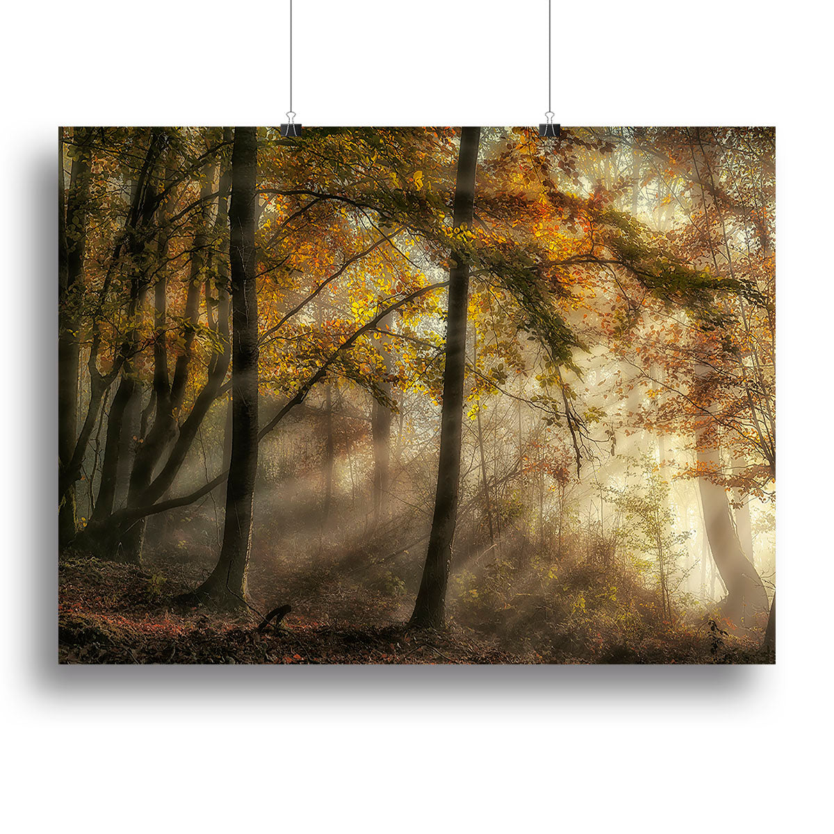 A beautiful canvas print depicting a serene forest scene with vibrant colors, perfect for home or office decor.