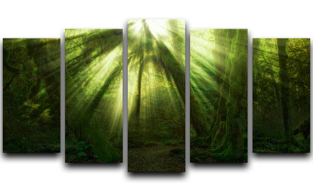 The Miracle 5 Split Panel Canvas featuring a vibrant and cohesive artwork divided into five panels, showcasing depth and modern design.