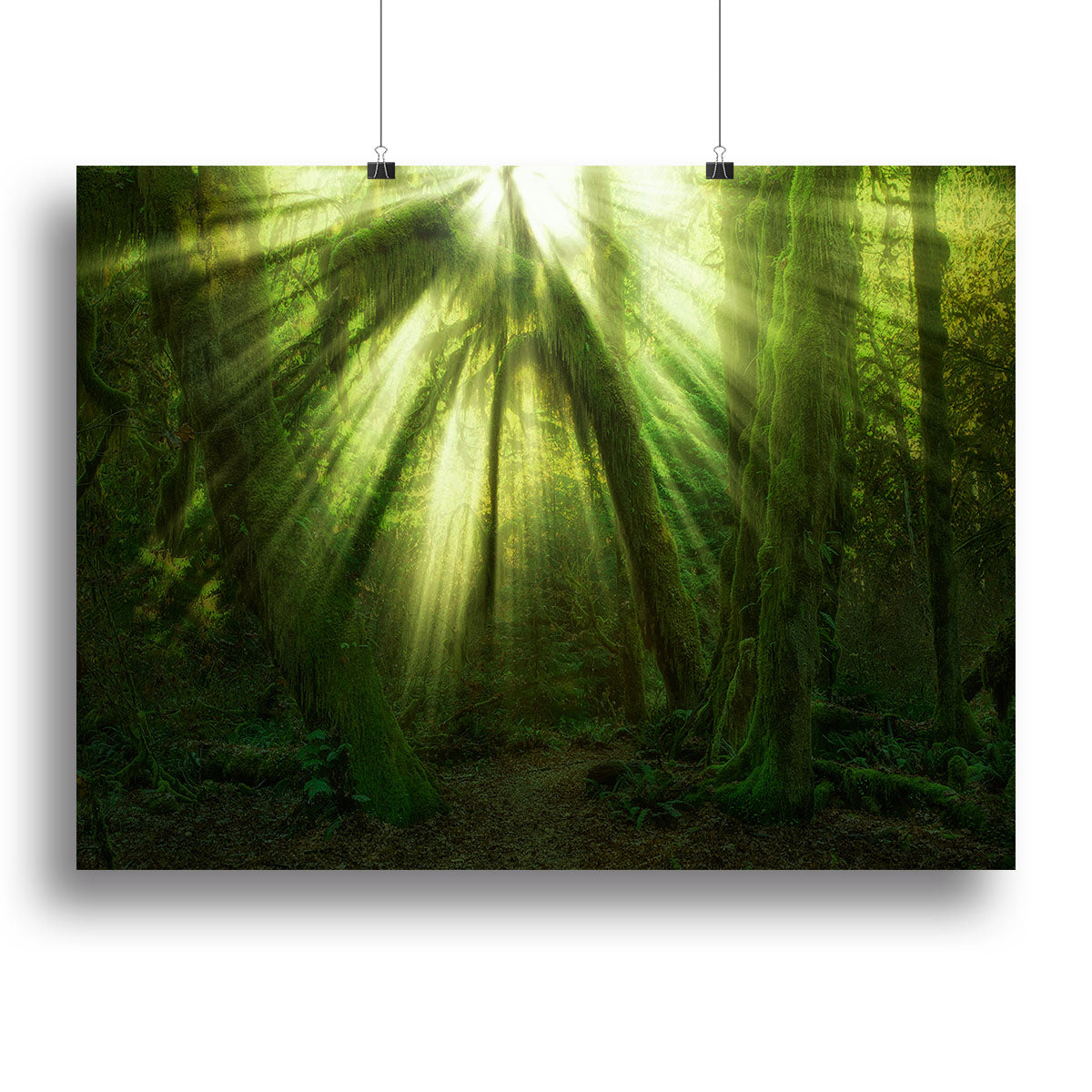 A vibrant canvas print showcasing modern art, perfect for home decor, featuring rich colors and intricate details.