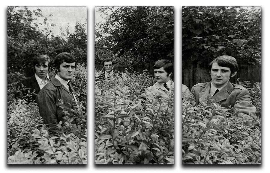 A stunning 3-panel canvas print featuring The Moody Blues in a serene field, showcasing vibrant colors and intricate details.