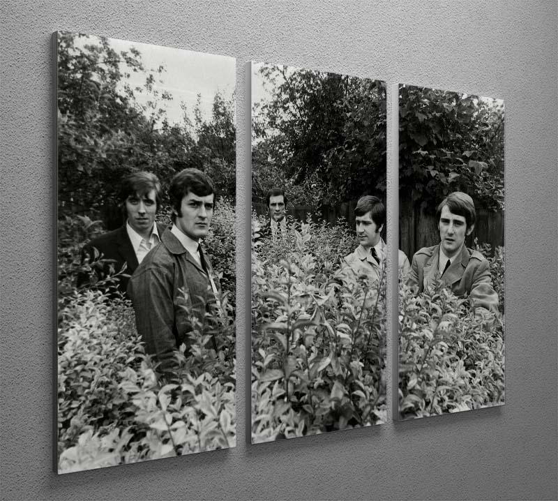 A stunning 3-panel canvas print featuring The Moody Blues in a serene field, showcasing vibrant colors and intricate details.