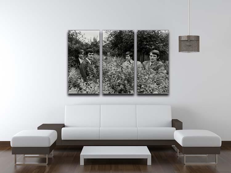 A stunning 3-panel canvas print featuring The Moody Blues in a serene field, showcasing vibrant colors and intricate details.