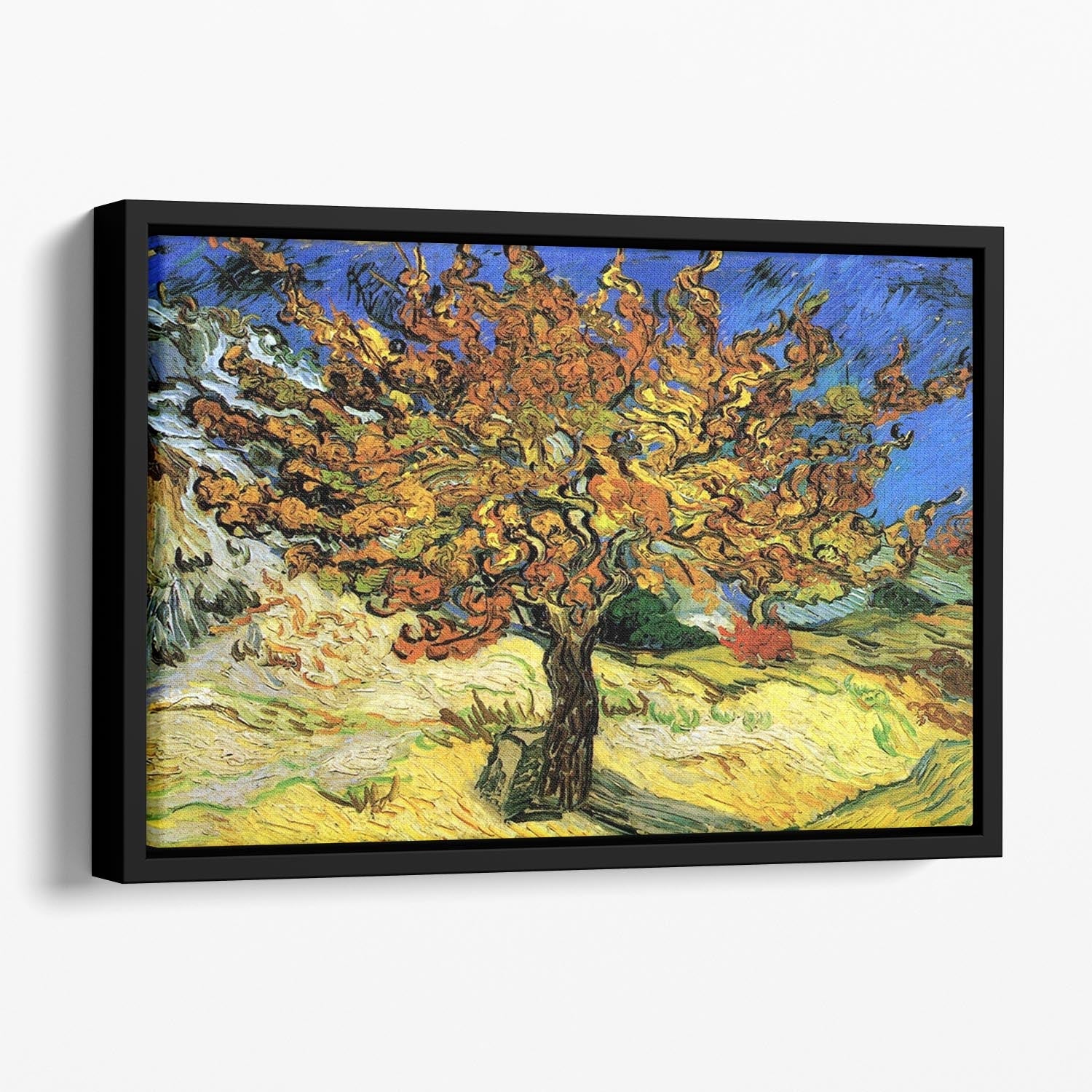 The Mulberry Tree by Van Gogh, beautifully framed in a floating frame, showcasing vibrant colors and intricate details.