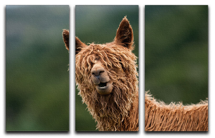 The Muppet Show 3 Split Panel Canvas Print featuring vibrant colors and iconic characters, perfect for home decor.