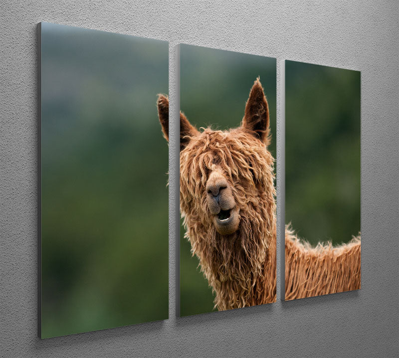 The Muppet Show 3 Split Panel Canvas Print featuring vibrant colors and iconic characters, perfect for home decor.