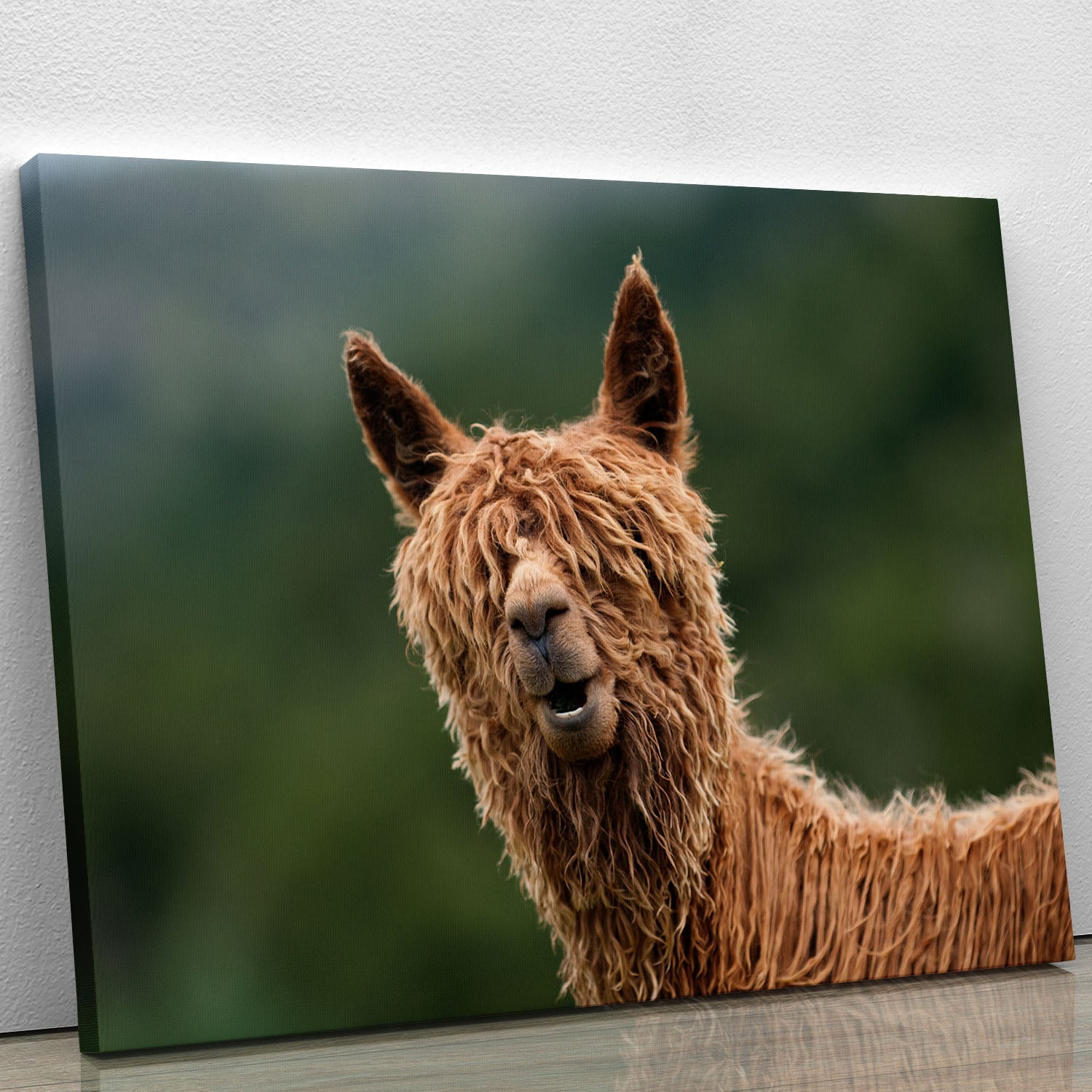 A colorful canvas print featuring iconic characters from The Muppet Show, showcasing vibrant artwork perfect for home decor.