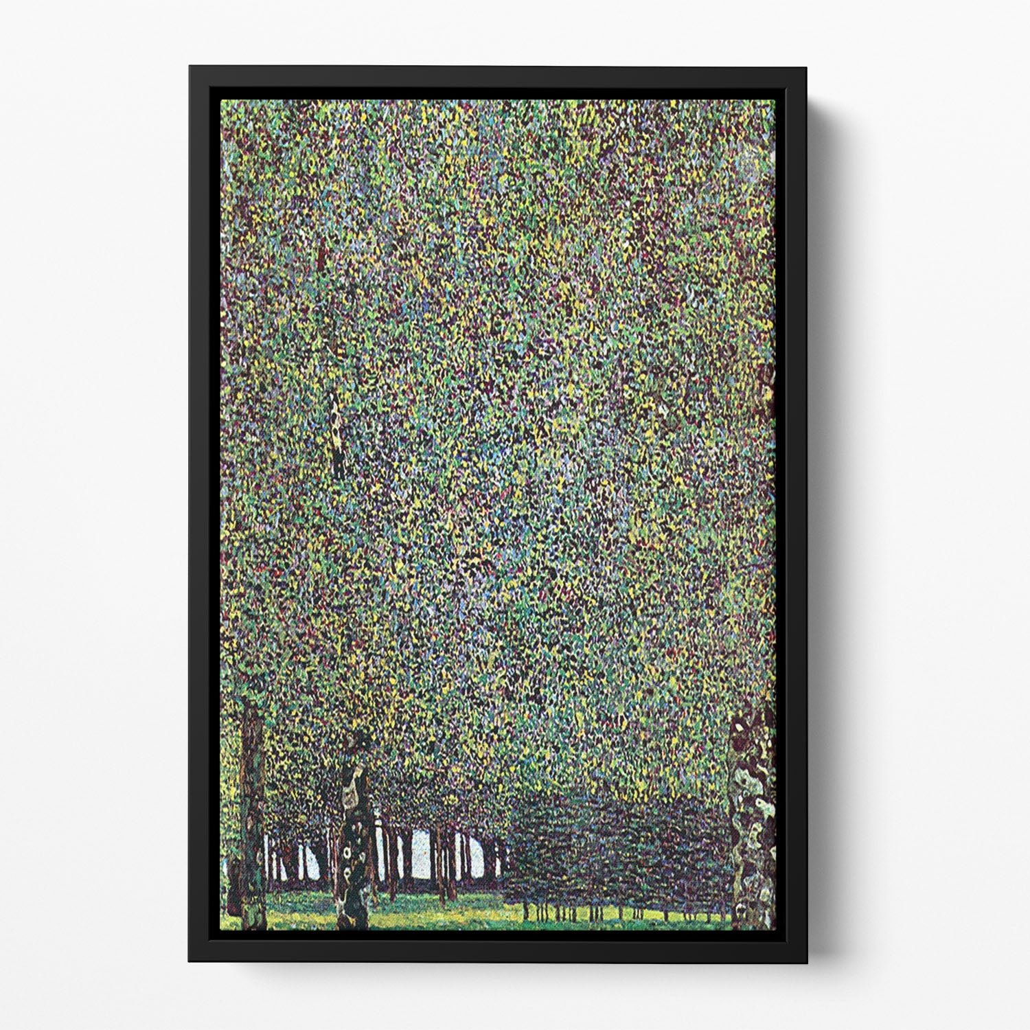 The Park by Klimt Floating Framed Canvas featuring vibrant abstract colors in a modern floating frame.