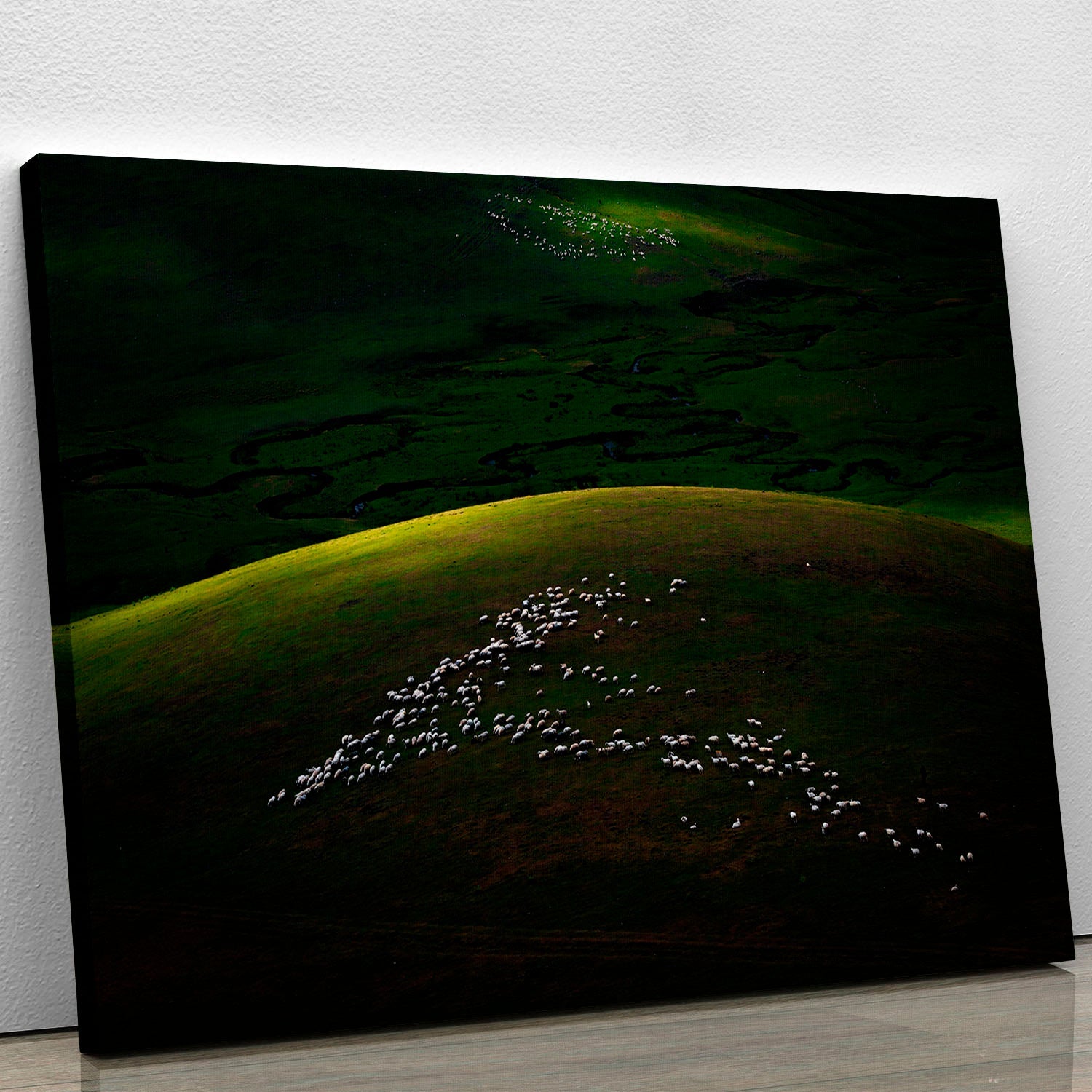 A beautifully designed canvas print featuring modern art, showcasing vibrant colors and intricate patterns, perfect for home decor.