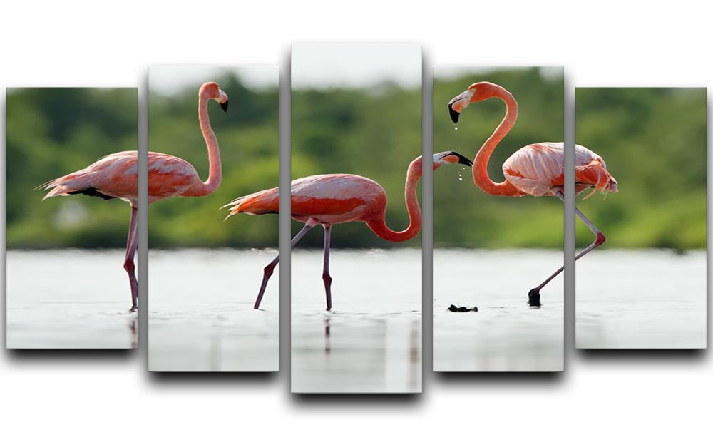 A vibrant 5-panel canvas artwork featuring a pink Caribbean flamingo, showcasing its elegance and beauty in a dynamic split design.