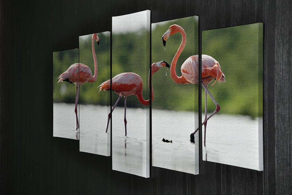 A vibrant 5-panel canvas artwork featuring a pink Caribbean flamingo, showcasing its elegance and beauty in a dynamic split design.