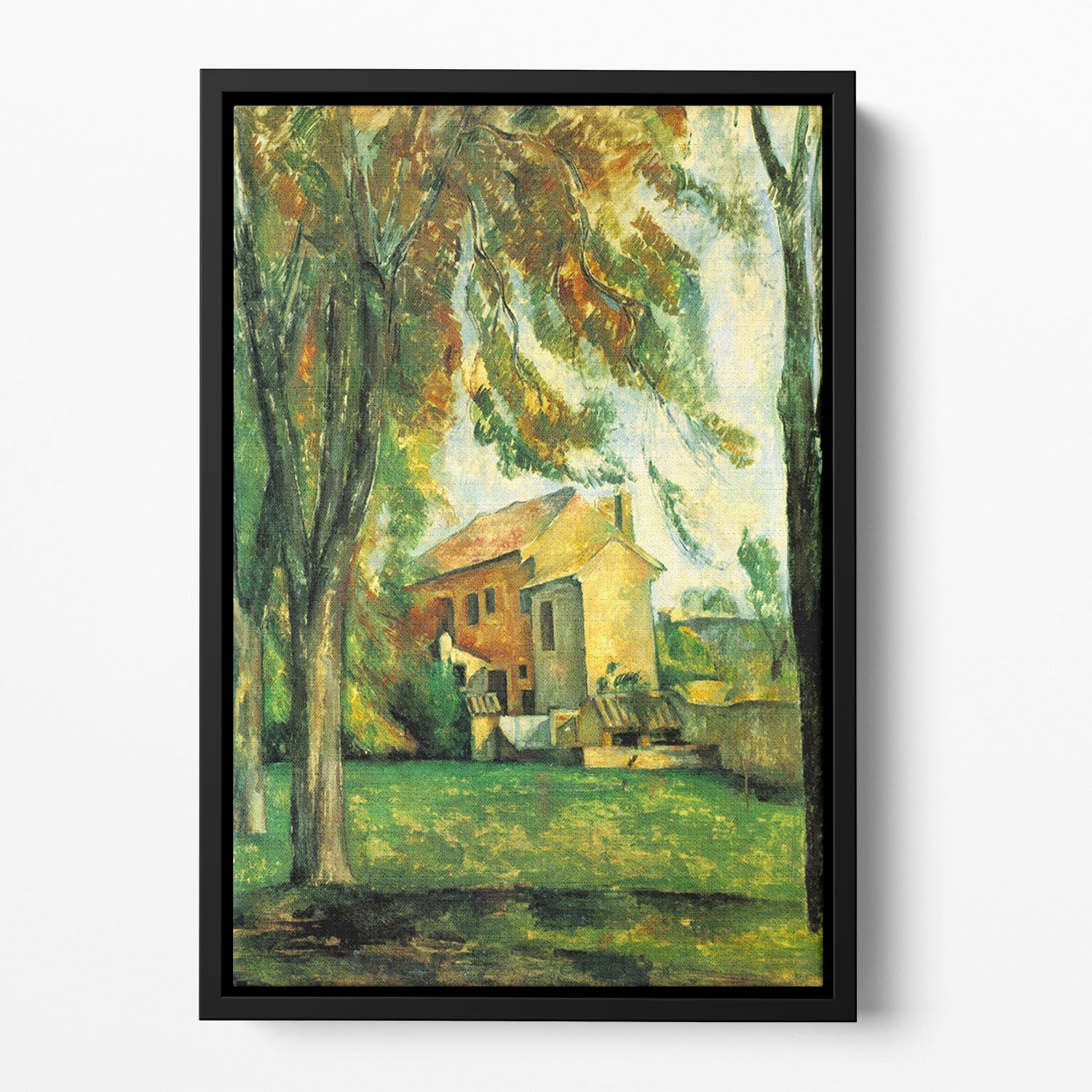Floating framed artwork of Cezanne's winter pond, showcasing vibrant colors and serene nature.