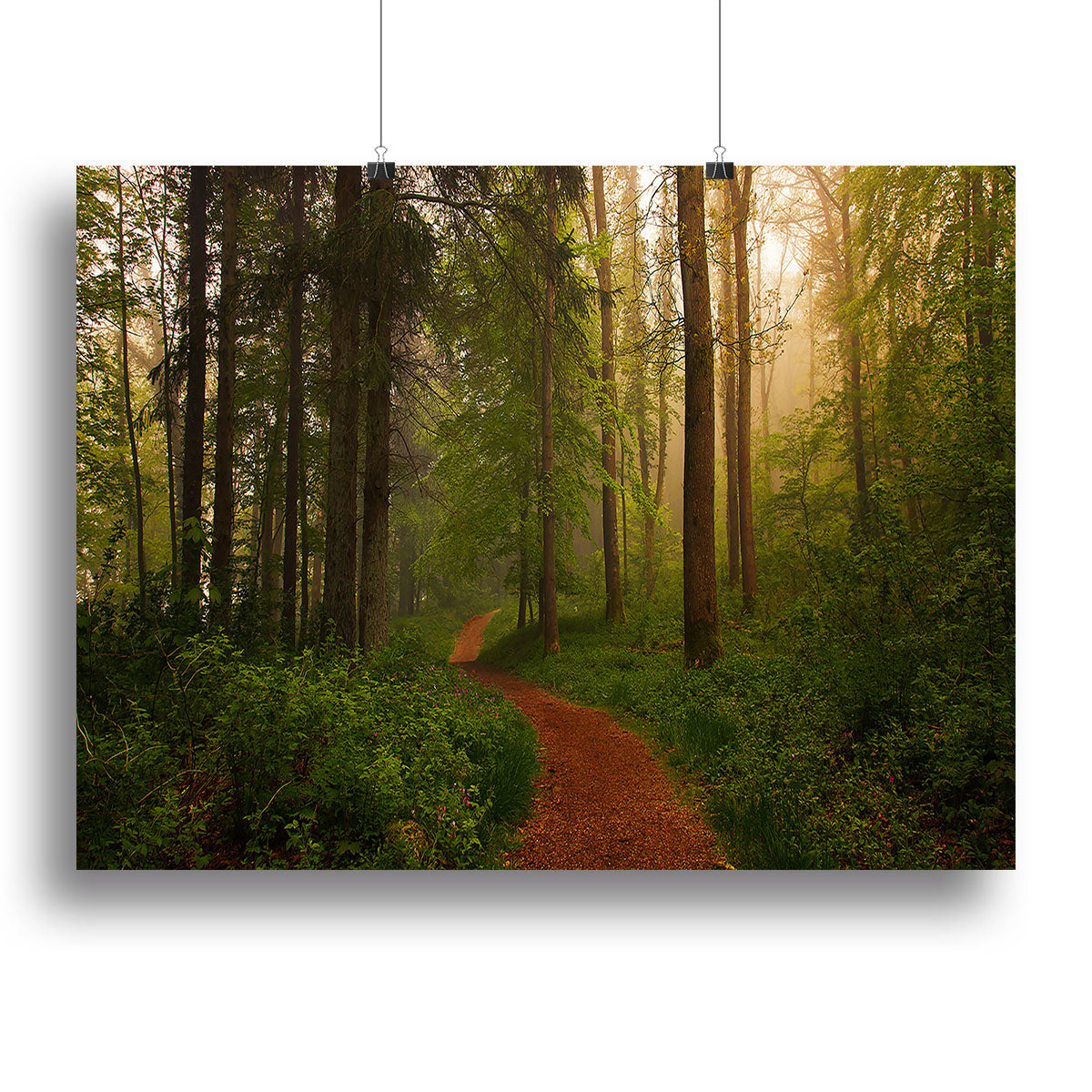 The Red Path Canvas Print showcasing vibrant colors and abstract design, perfect for home or office decor.
