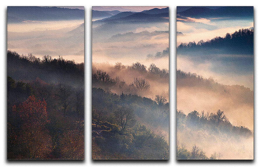 A beautiful 3-panel canvas print featuring captivating designs, perfect for home decor.