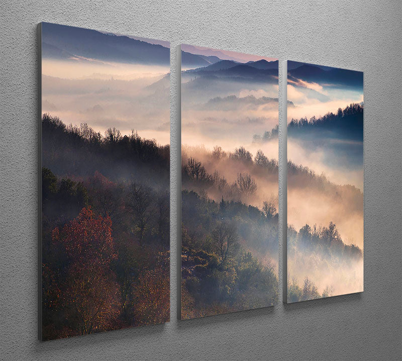 A beautiful 3-panel canvas print featuring captivating designs, perfect for home decor.