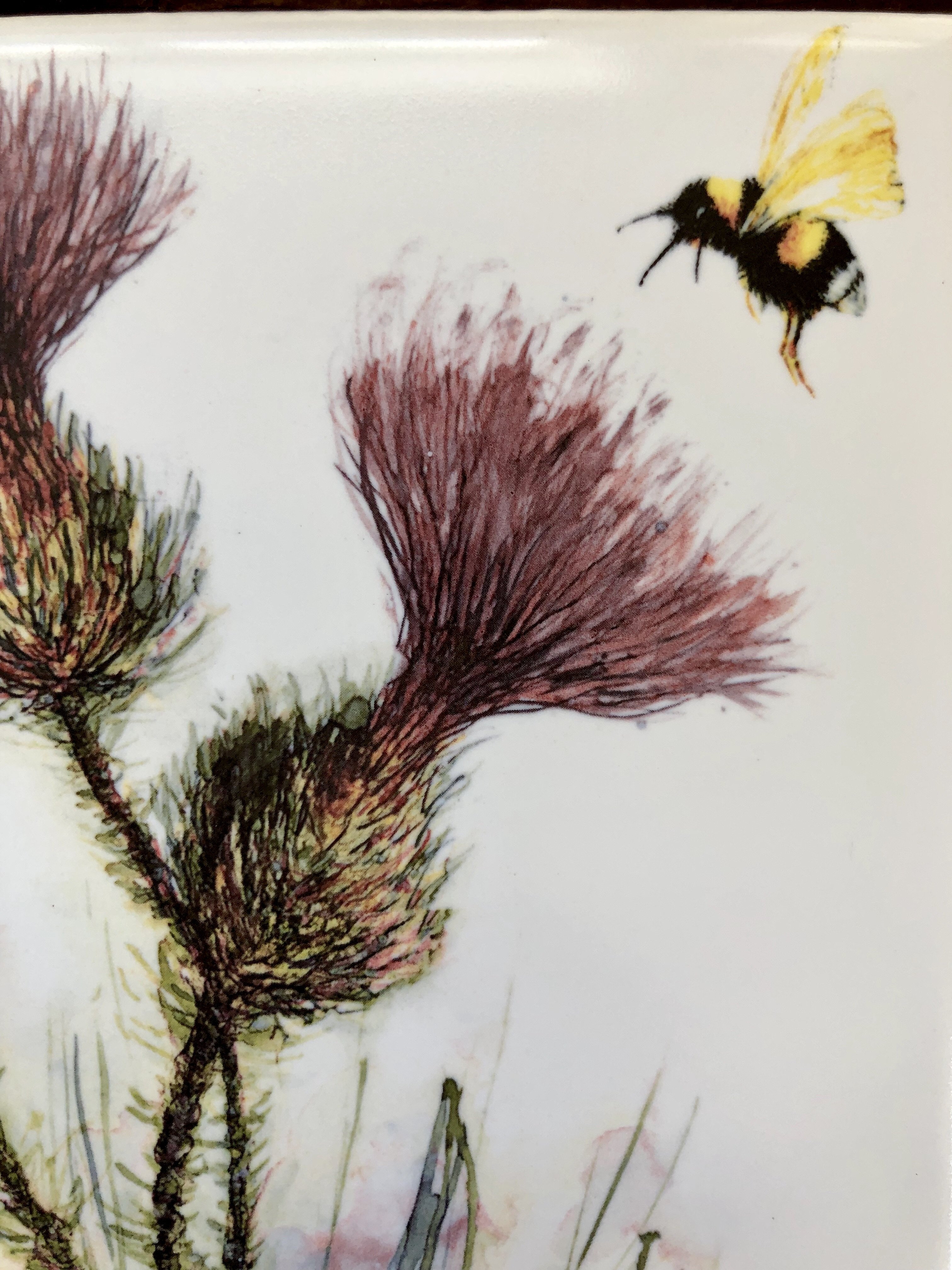 Thistle and Honeybee Ceramic Tiles showcasing intricate designs, perfect for indoor and outdoor decor.