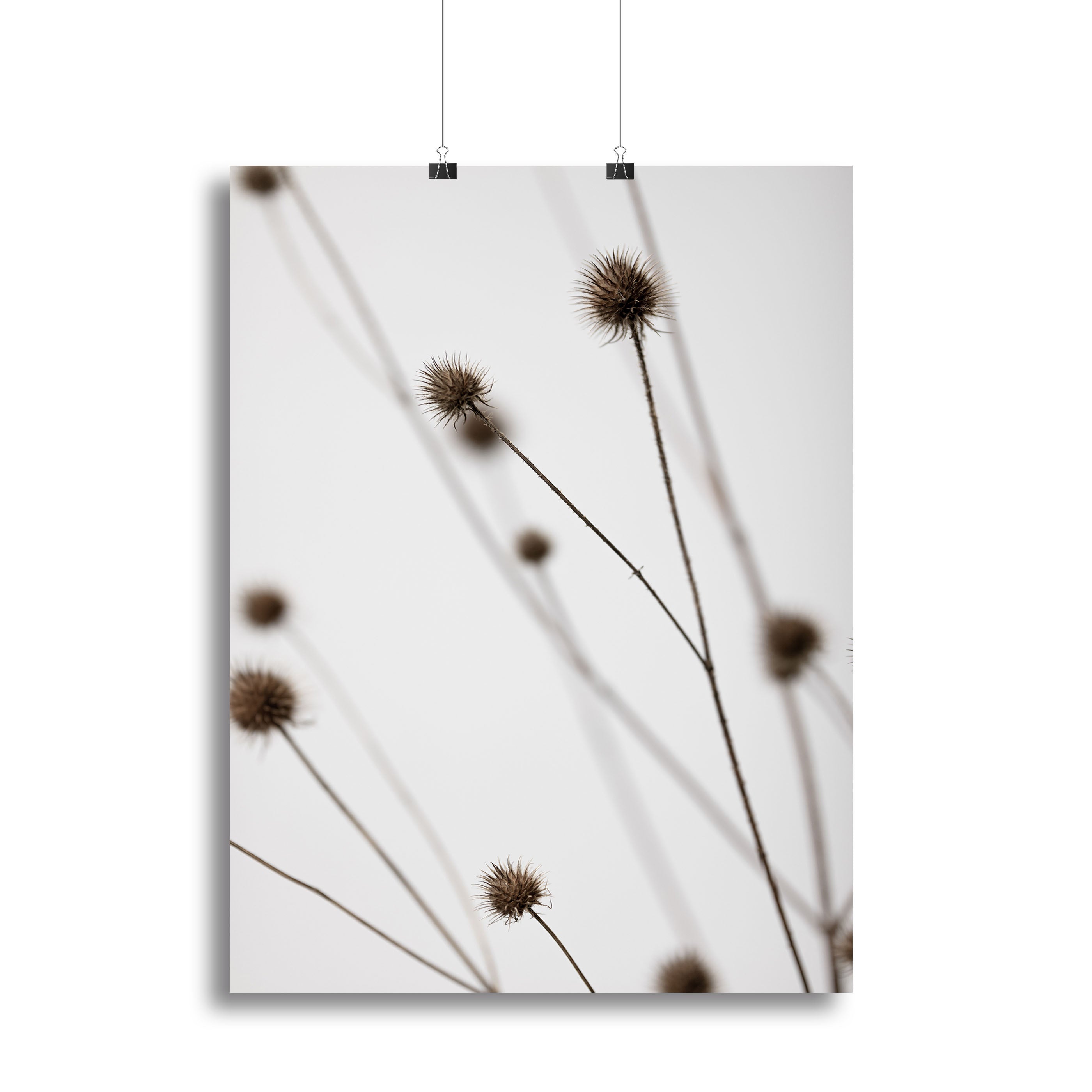 Thistle Grey 05 Canvas Print showcasing elegant design with modern aesthetic, perfect for home or office decor.