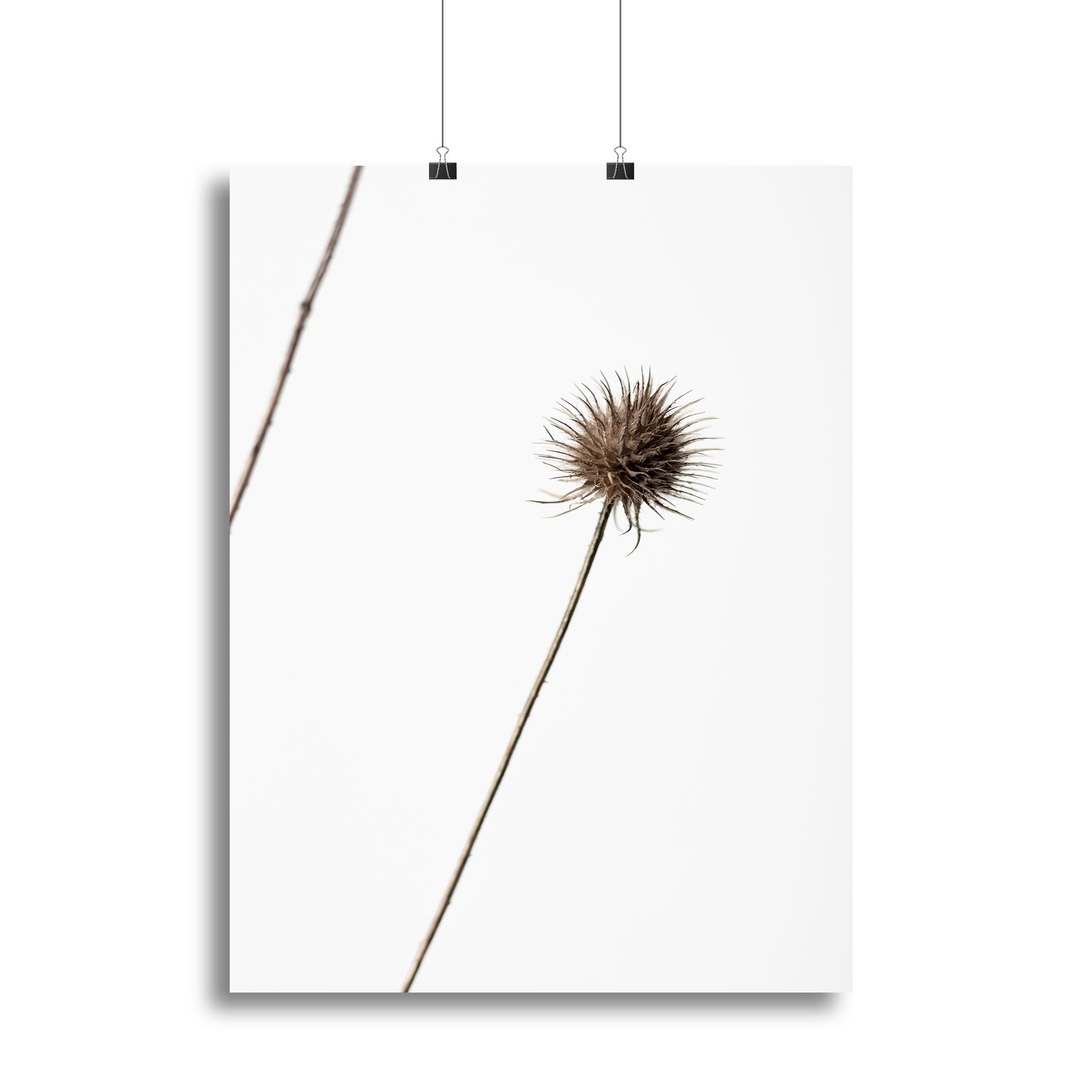 Thistle Grey 08 canvas print showcasing elegant design and modern art style, perfect for home or office decor.