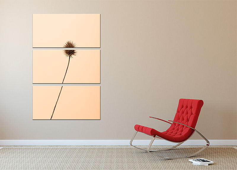 Thistle Peach 3 Split Panel Canvas Print showcasing three panels with elegant thistle design in soft peach tones.