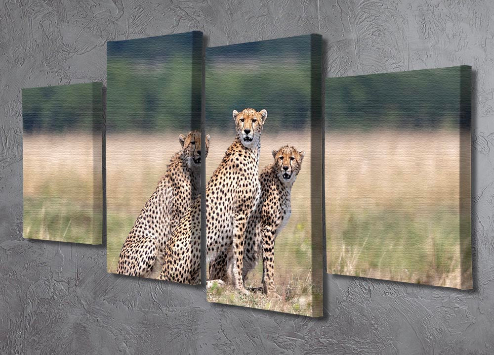 A stunning 4-split canvas artwork featuring three cheetahs in a dynamic arrangement, showcasing their beauty and grace.