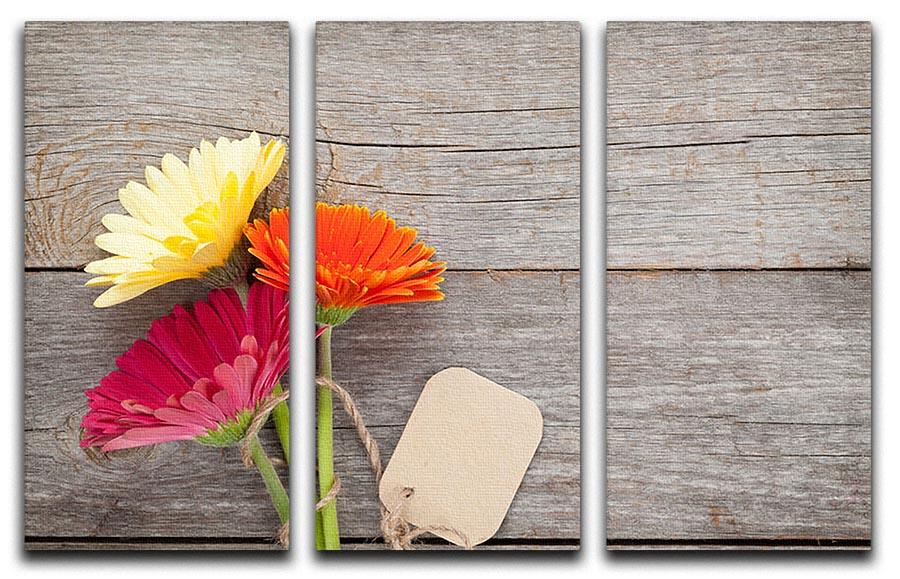 Three colorful gerbera flowers on a split panel canvas print, showcasing vibrant hues and elegant design.