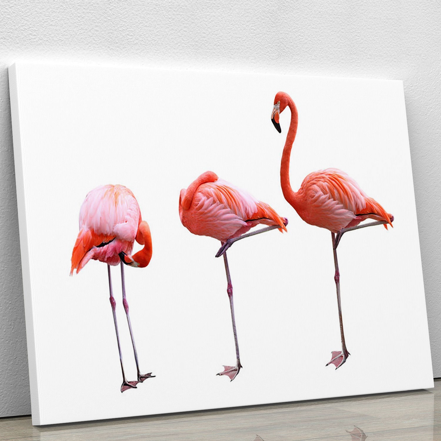 Three flamingo birds elegantly posed on a white background, showcasing vibrant colors and intricate details in a canvas print.