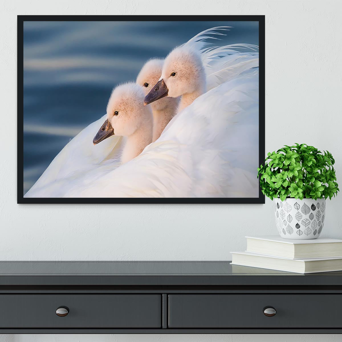 A beautifully framed print of three white swans, showcasing vibrant colors and elegant craftsmanship.