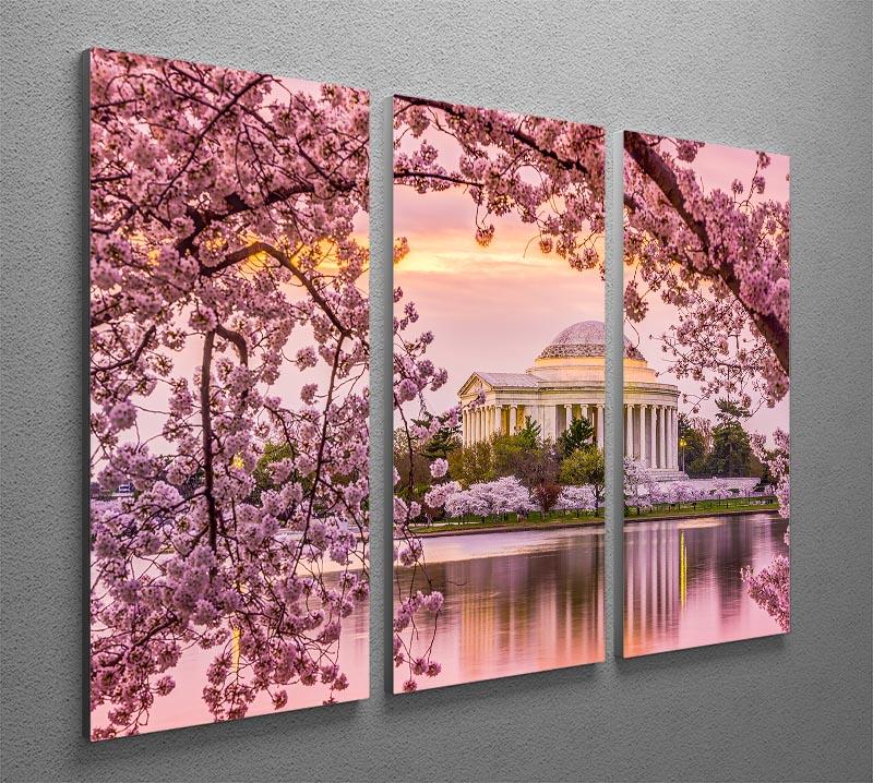 Three-panel canvas art featuring cherry blossoms at Tidal Basin and Jefferson Memorial, showcasing vibrant colors and elegant design.