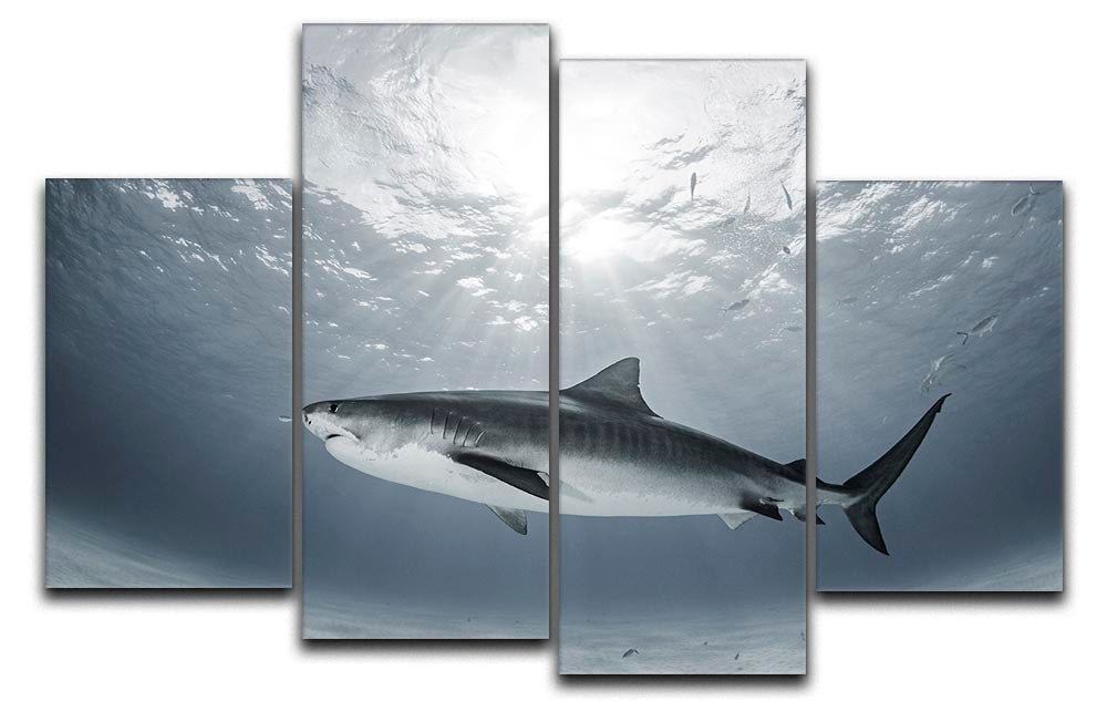 A vibrant 4-split canvas artwork featuring tiger rays, showcasing dynamic colors and intricate details.