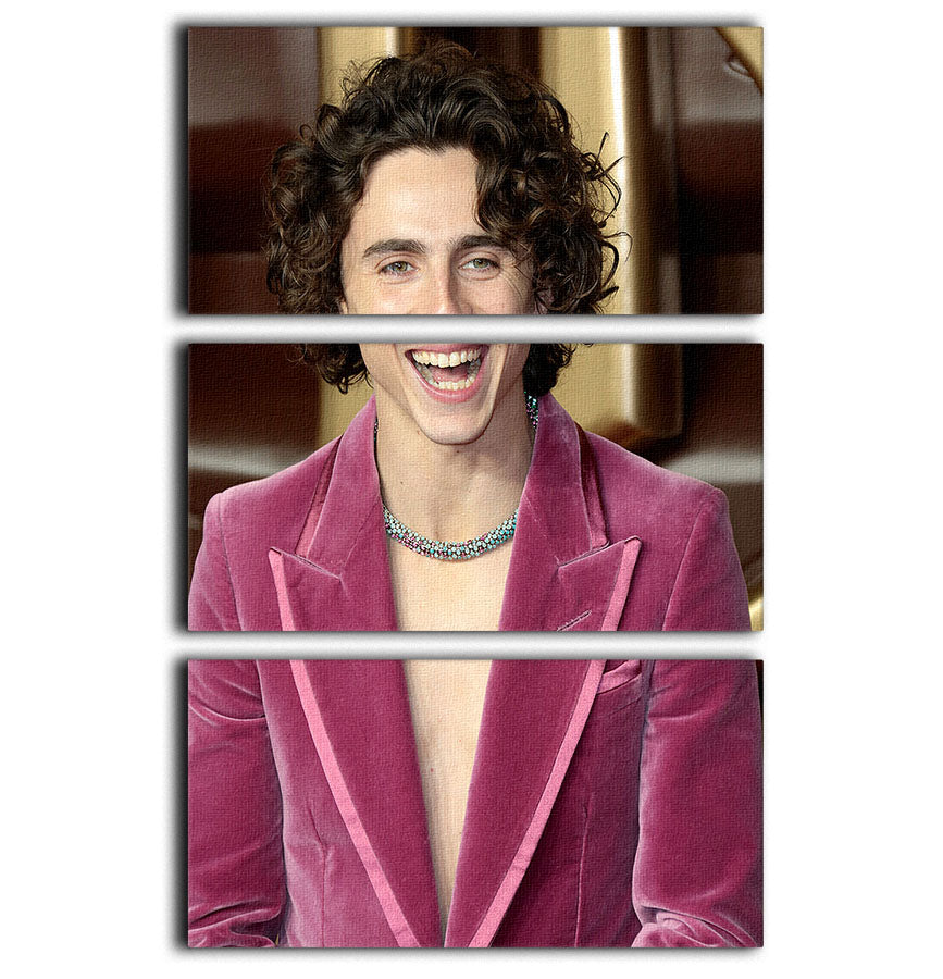 Timothee Chalamet at the Wonka premiere, displayed on a stunning 3-panel canvas print, showcasing vibrant colors and high-quality details.