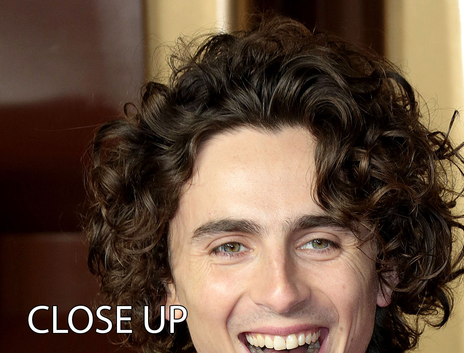 Timothee Chalamet at the Wonka premiere, displayed on a stunning 3-panel canvas print, showcasing vibrant colors and high-quality details.