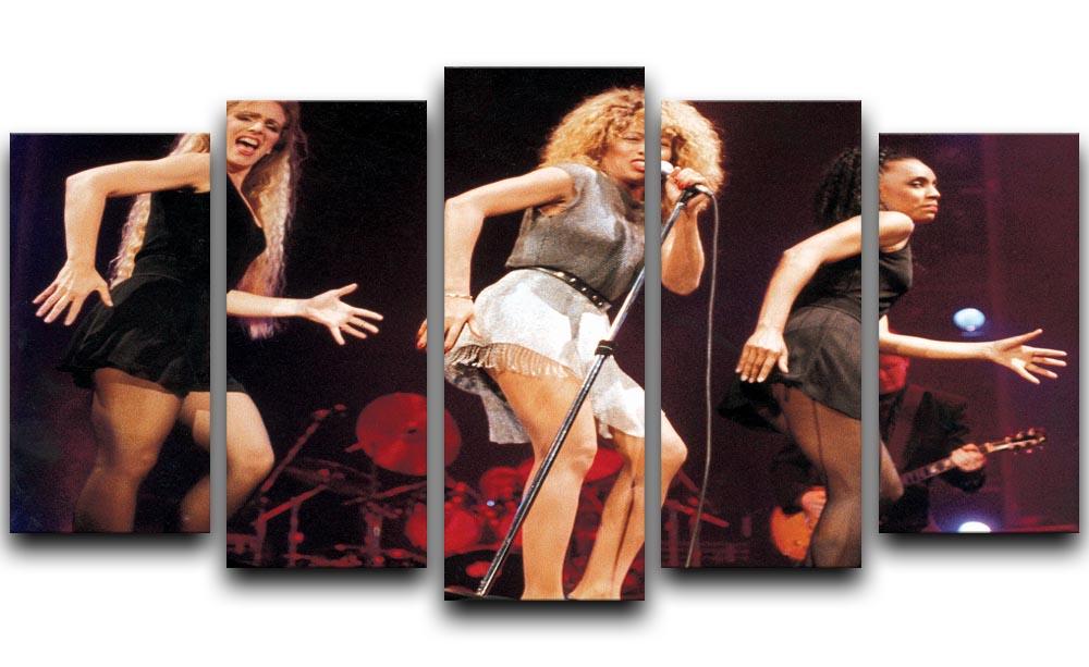 A vibrant 5-split canvas artwork featuring Tina Turner performing on stage, showcasing her dynamic energy and iconic style.