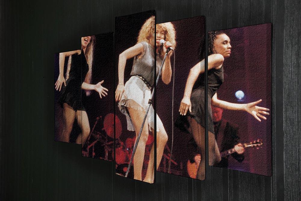 A vibrant 5-split canvas artwork featuring Tina Turner performing on stage, showcasing her dynamic energy and iconic style.