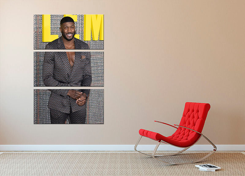 Toby Olubi 3-panel canvas print showcasing elegant design and vibrant colors, perfect for home decor.