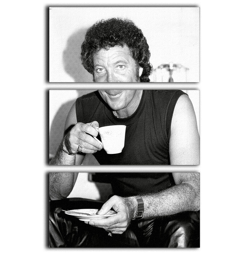 Tom Jones with a cuppa 3-panel canvas print showcasing vibrant colors and elegant design.