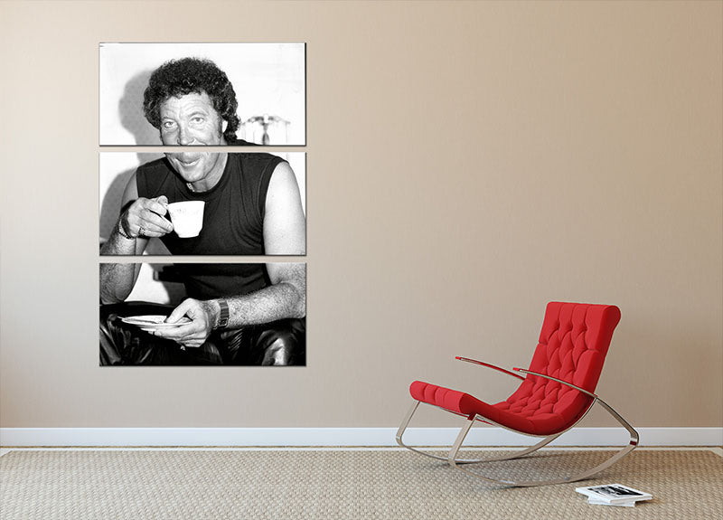 Tom Jones with a cuppa 3-panel canvas print showcasing vibrant colors and elegant design.