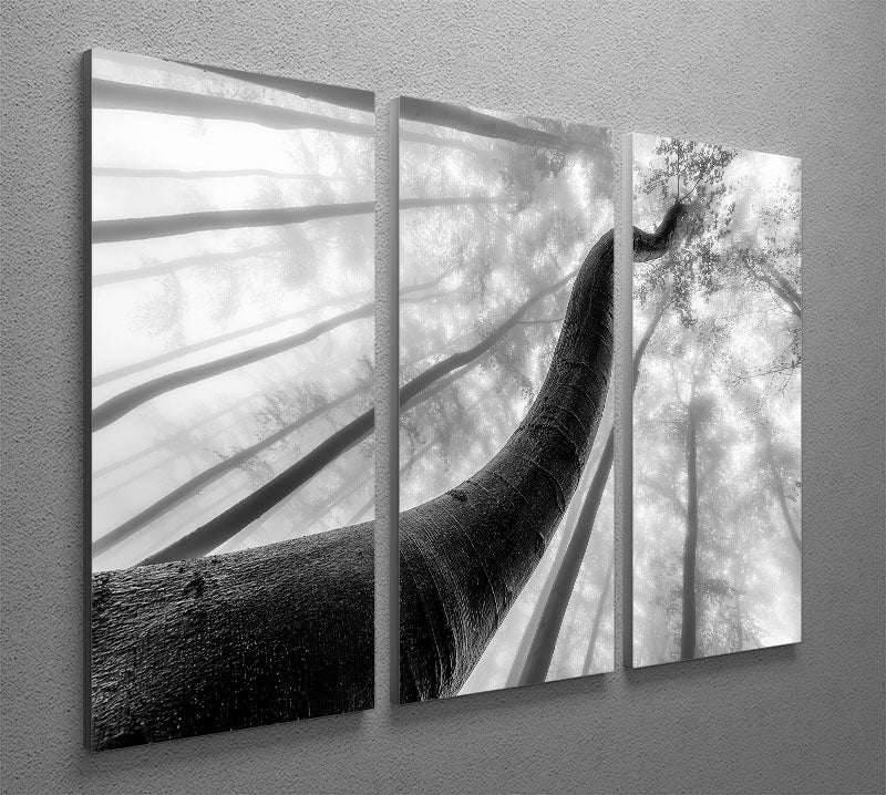 Tree Shapes 3 Split Panel Canvas Print featuring elegant tree designs on three canvases, perfect for home decor.