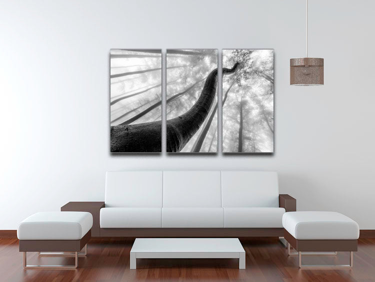 Tree Shapes 3 Split Panel Canvas Print featuring elegant tree designs on three canvases, perfect for home decor.
