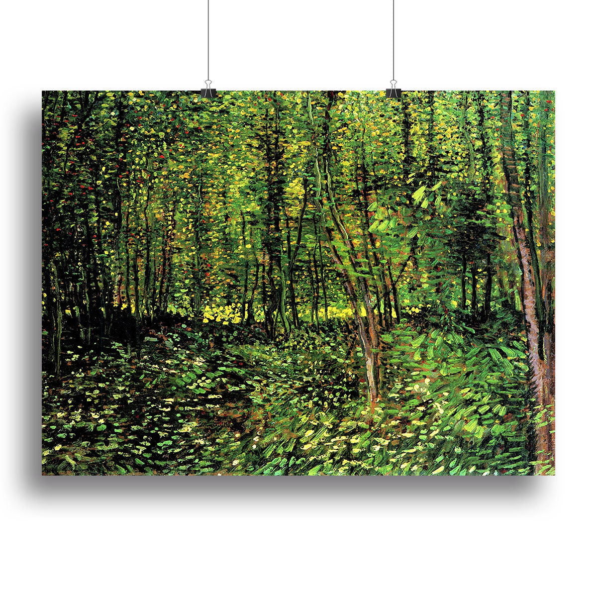 Canvas print of Van Gogh's Trees and Undergrowth 2, showcasing vibrant colors and intricate details of trees and undergrowth.