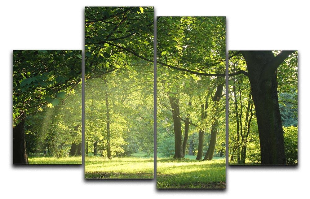 A beautiful 4-split canvas artwork depicting trees in a vibrant summer forest, showcasing lush greenery and a serene atmosphere.