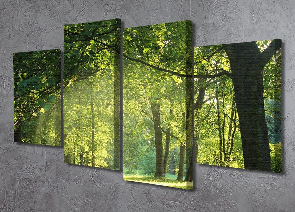 A beautiful 4-split canvas artwork depicting trees in a vibrant summer forest, showcasing lush greenery and a serene atmosphere.