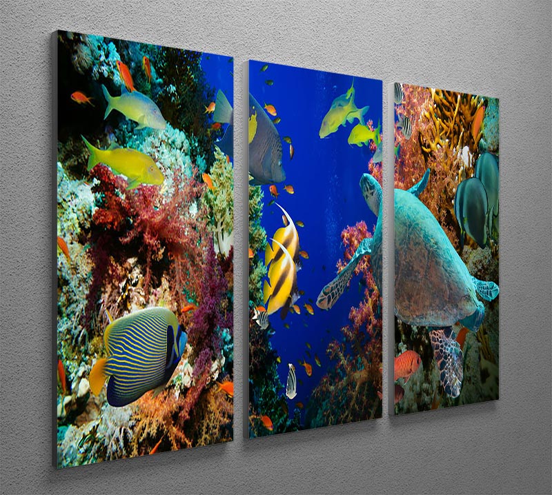 A vibrant 3-panel canvas art featuring Tropical Anthias fish, net fire corals, and a shark on a Red Sea reef, showcasing underwater beauty.