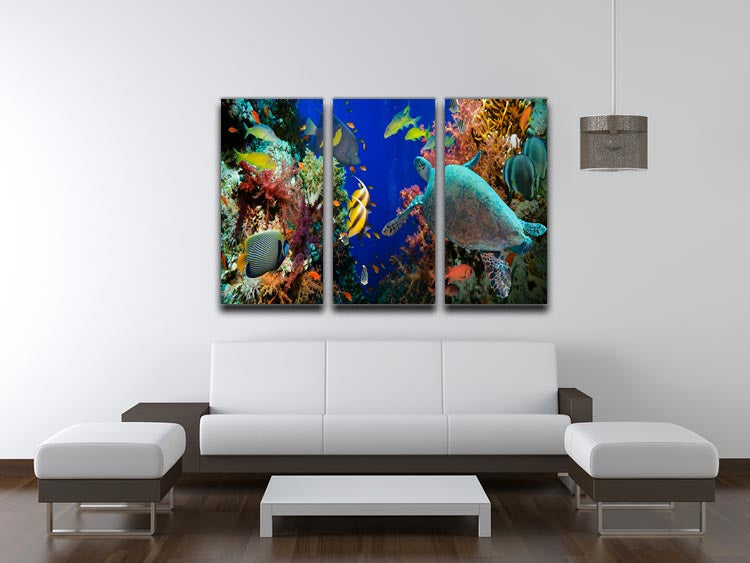 A vibrant 3-panel canvas art featuring Tropical Anthias fish, net fire corals, and a shark on a Red Sea reef, showcasing underwater beauty.