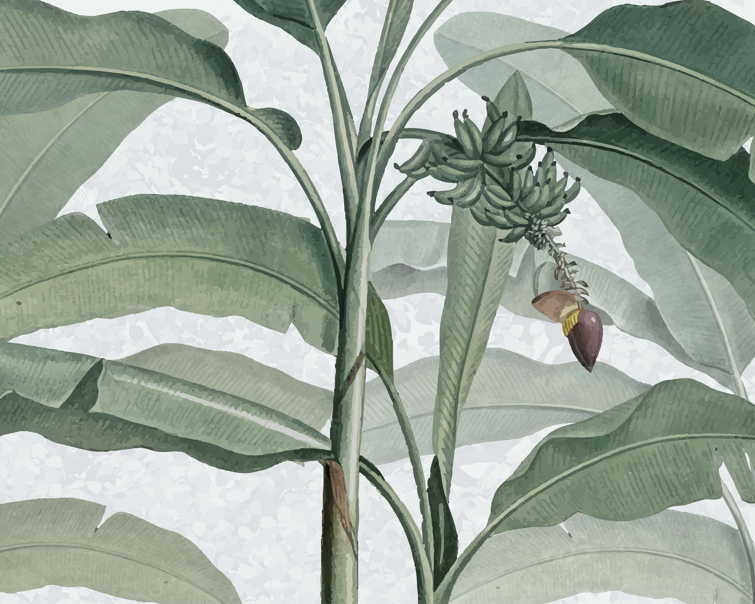 Tropical Jungle Wallpaper featuring lush green foliage and exotic plants, perfect for creating a vibrant atmosphere in any room.